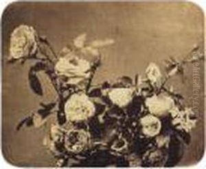 Roses by Adolphe Braun