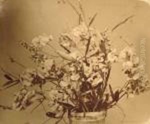 Fleurs Fleurs