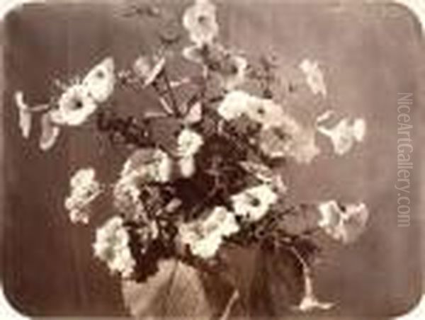 Fleurs - view 1