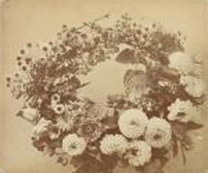 Les Fleurs Photographiees