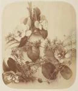 Les Fleurs Photographiees by Adolphe Braun