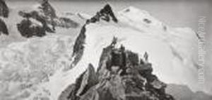 Der Gipfel Des Mont Blanc by Adolphe Braun