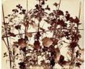 Composition Aux Volubilis by Adolphe Braun