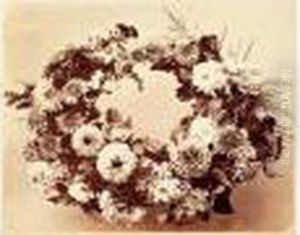 Etude De Dahlias En Couronne, Vers 1854
