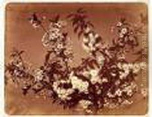 Branches De Cerisier, Vers 1854 by Adolphe Braun