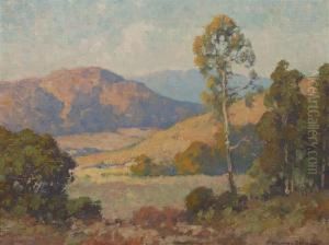 On The Way Up To Pine Valley "el Cojen," In Theafternoon by Maurice Braun