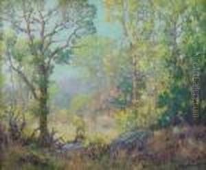 A Color Filled Glow Through The Trees by Maurice Braun