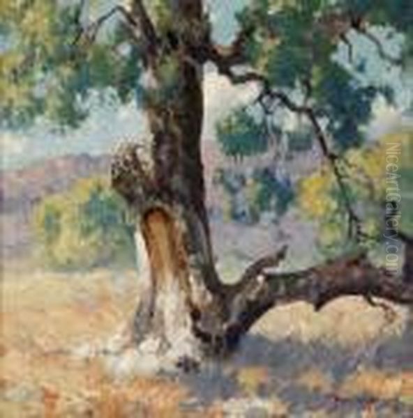 Under The Sycamore - view 1