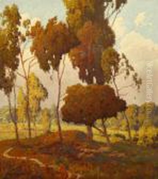 Eucalyptus - view 1