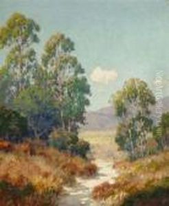 Eucalyptus