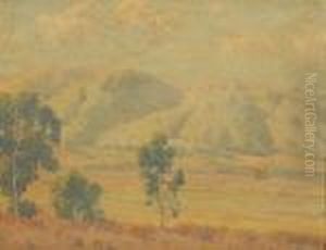 California Foothills by Maurice Braun