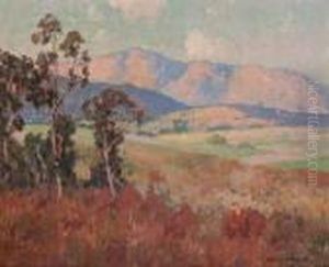 Sunlit Hills Sunlit Hills