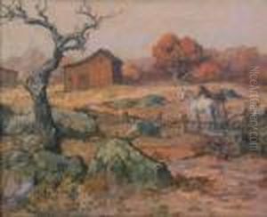 Braun, Californian by Maurice Braun