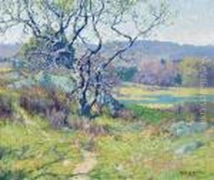 Pathway To The Pond by Maurice Braun