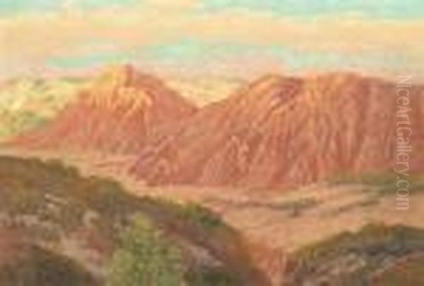 Point Loma Canyon - view 1