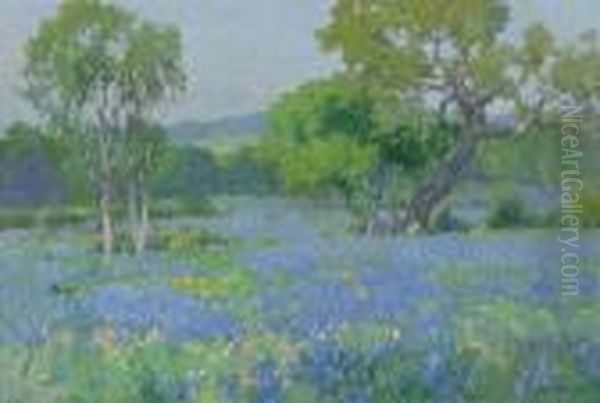 A Field Of Bluebonnets - view 1