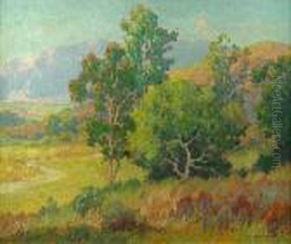 Summertime, Southern California - view 1