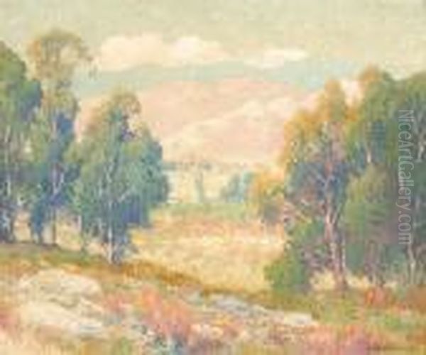 Hills At Riverside, California - view 1
