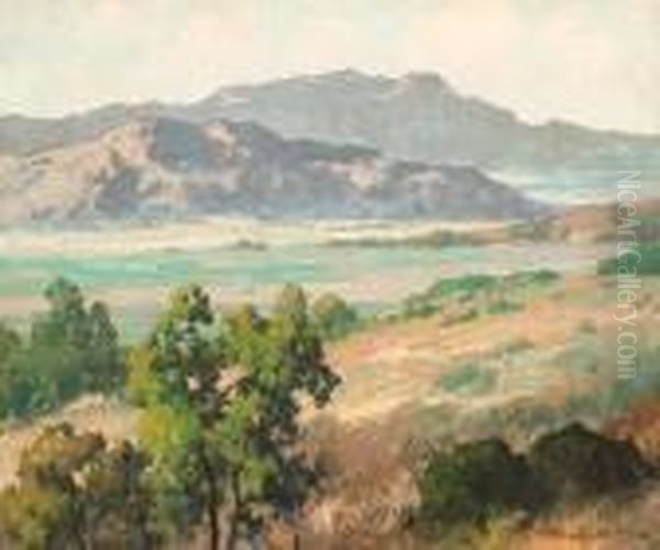 Panoramic Vista - view 1