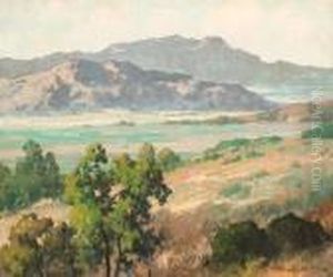 Panoramic Vista
