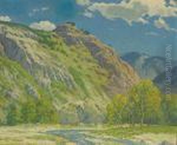 Summer Light In The Canyon - view 1