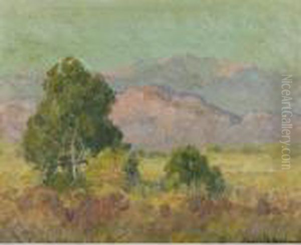 Cajon Hills - view 1