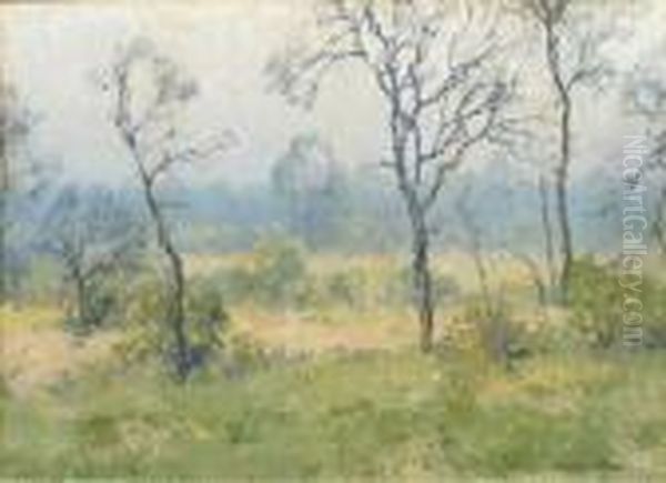 Spring
Oil On Board - view 1