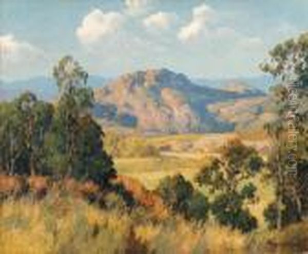 Mountains And Eucalyptus - view 1