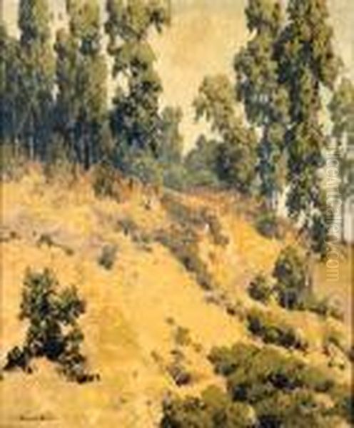 California Landscape - view 1