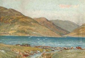 Bute by Thomas H. Hunn