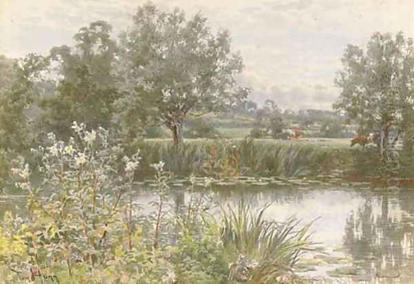 A peaceful stretch of the river - view 1