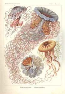 Discomedusae Scheibenquallen Pl 8 from Kunstformen der Natur by Ernst Haeckel