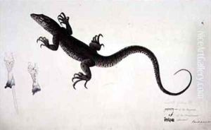 The Lacerta Gudua Monitor by Haludar