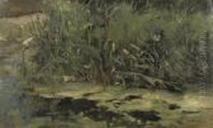 In 't Riet; Reed At The Riverbank