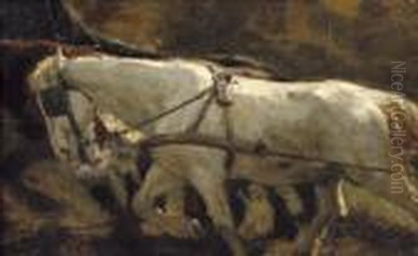 Wit Paard: Workinghorses - view 1