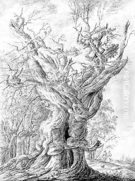 A gnarled and ancient oak - view 1