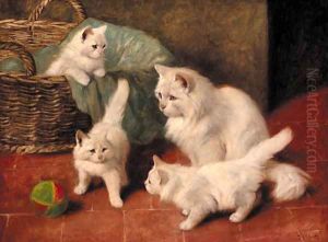 A family of cats at play