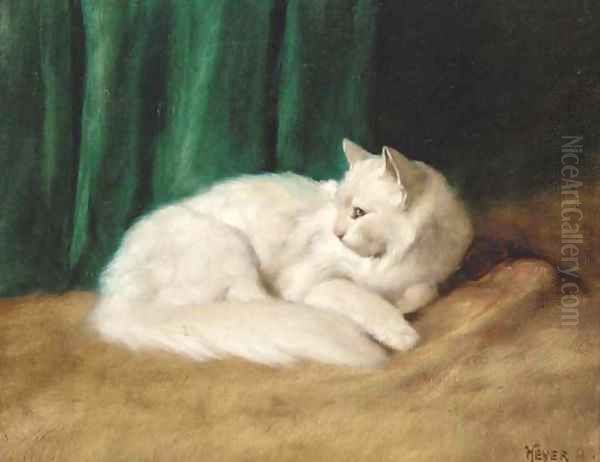 A white cat - view 1