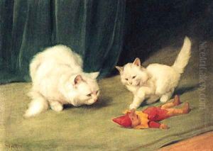 Two white Persians with a wooden Toy