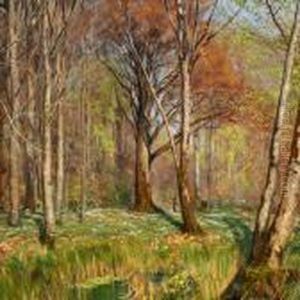 Children In A Spring Forest With Anemones In Bloom
