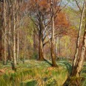 Children In A Springforest With Anemones In Bloom