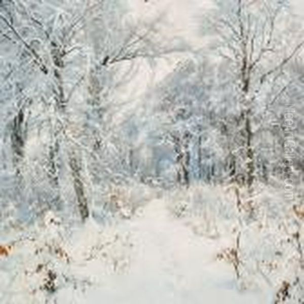 A Winter Day In The Forest With Newly-fallen Snow - view 1