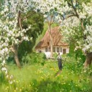 A Summer's Day In The Garden With Apple Trees In Bloom