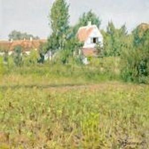 An Open Summer Scenery With Houses