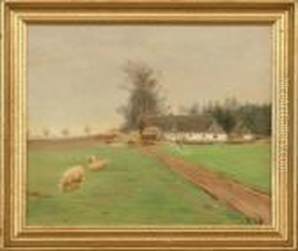 Landscape - view 1