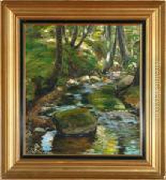 A Stream In Herlufsholm Forest, Denmark - view 1
