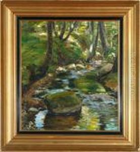 A Stream In Herlufsholm Forest, Denmark