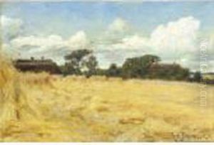 Hvedemarker (wheatfields)