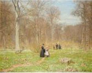 Woods In Spring