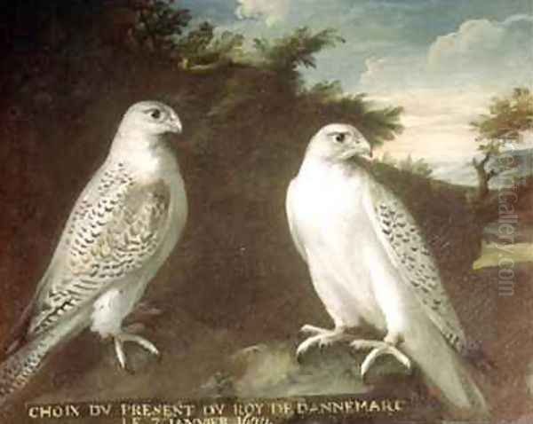 Pair of Gyrfalcons in a Landscape - view 1